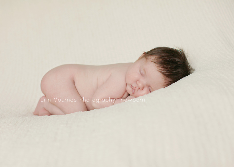 Thief River Falls MN Newborn Photographer