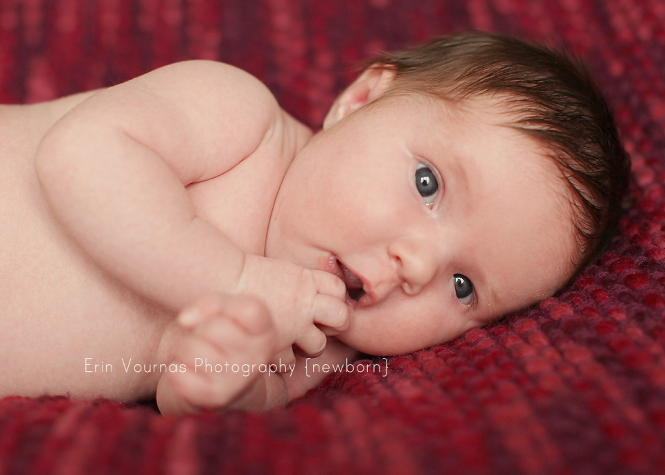 Thief River Falls MN Newborn Photographer