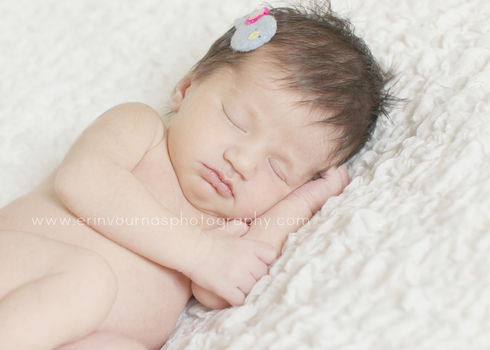 Thief River Falls MN Newborn Photographer