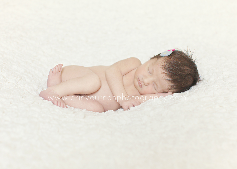 Thief River Falls Newborn photographer