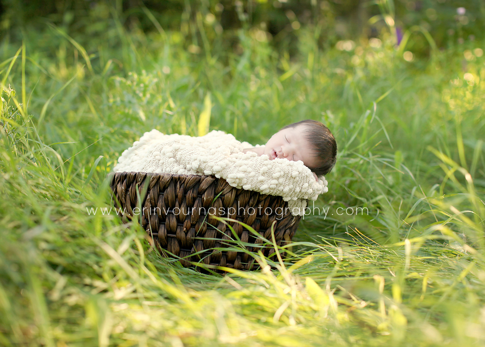 Thief River Falls MN Newborn Photographer