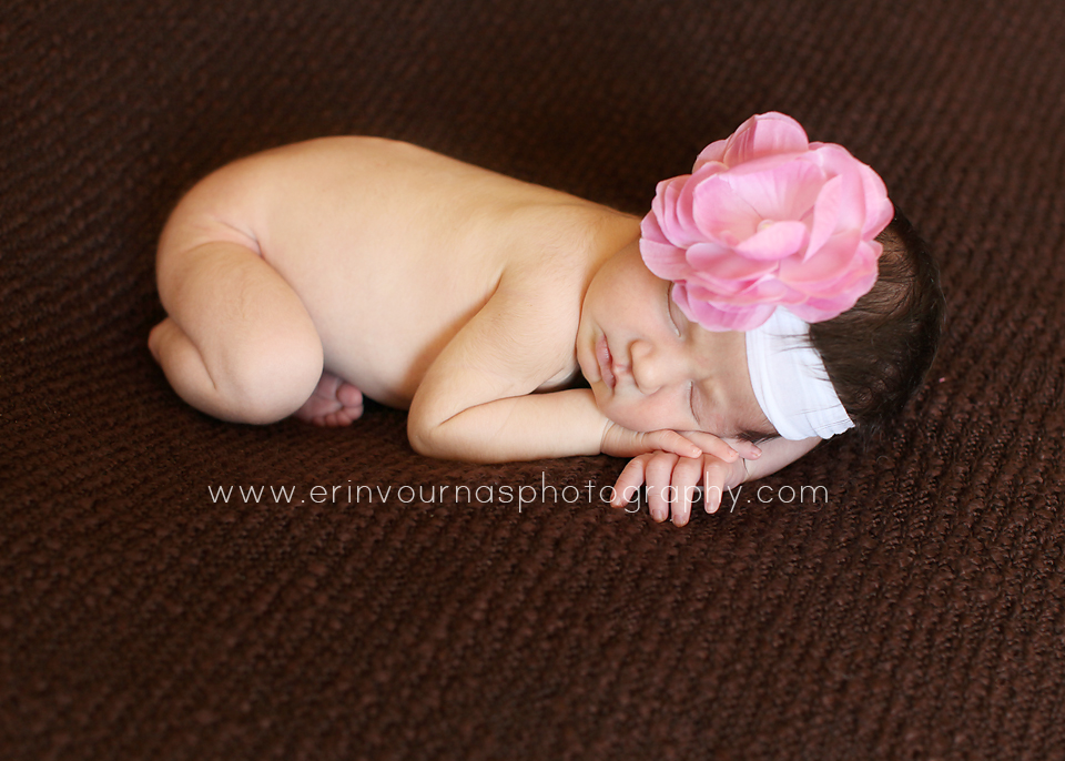 Thief River Falls MN Newborn Photographer
