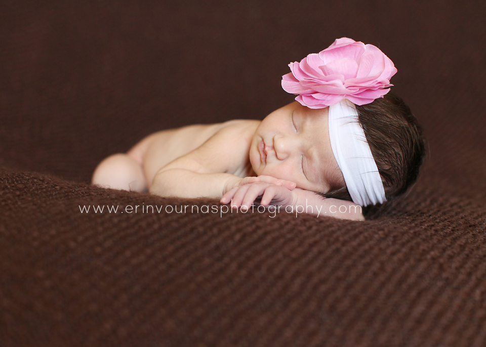 Thief River Falls MN Newborn Photographer