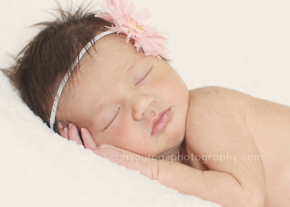 Thief River Falls MN Newborn Photographer