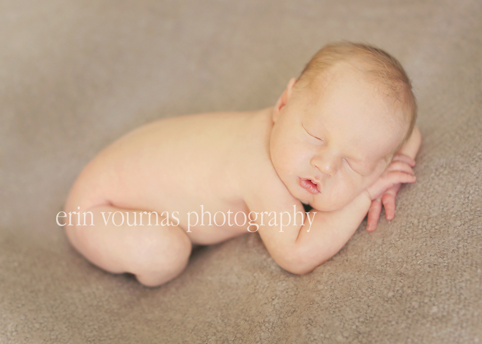 Newborn Photographer in Williston, ND 